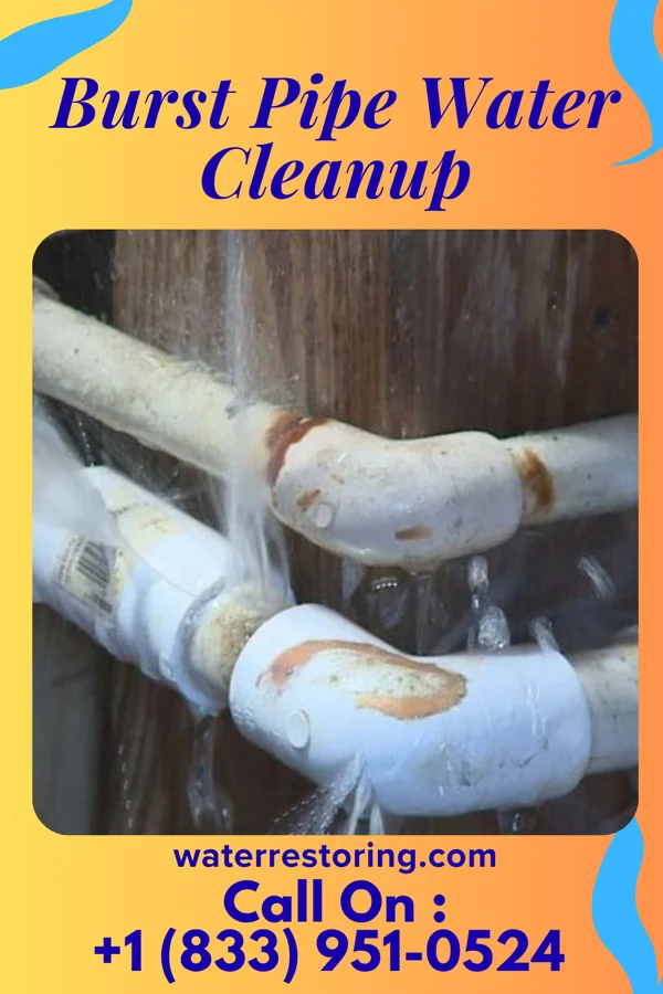 Burst Pipe Water Cleanup in Manassas, GA
